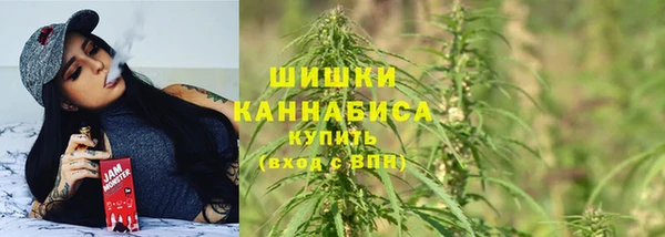 альфа пвп Медвежьегорск