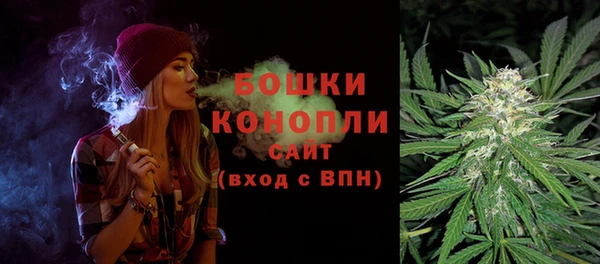 дживик Аша