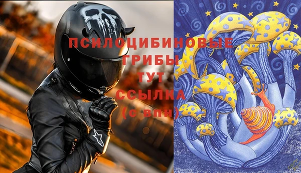 альфа пвп Медвежьегорск