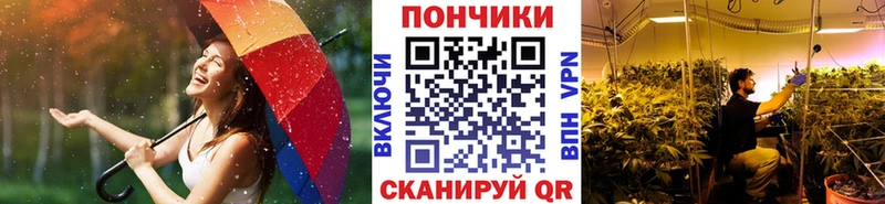 наркотики  Пионерский  МАРИХУАНА семена 